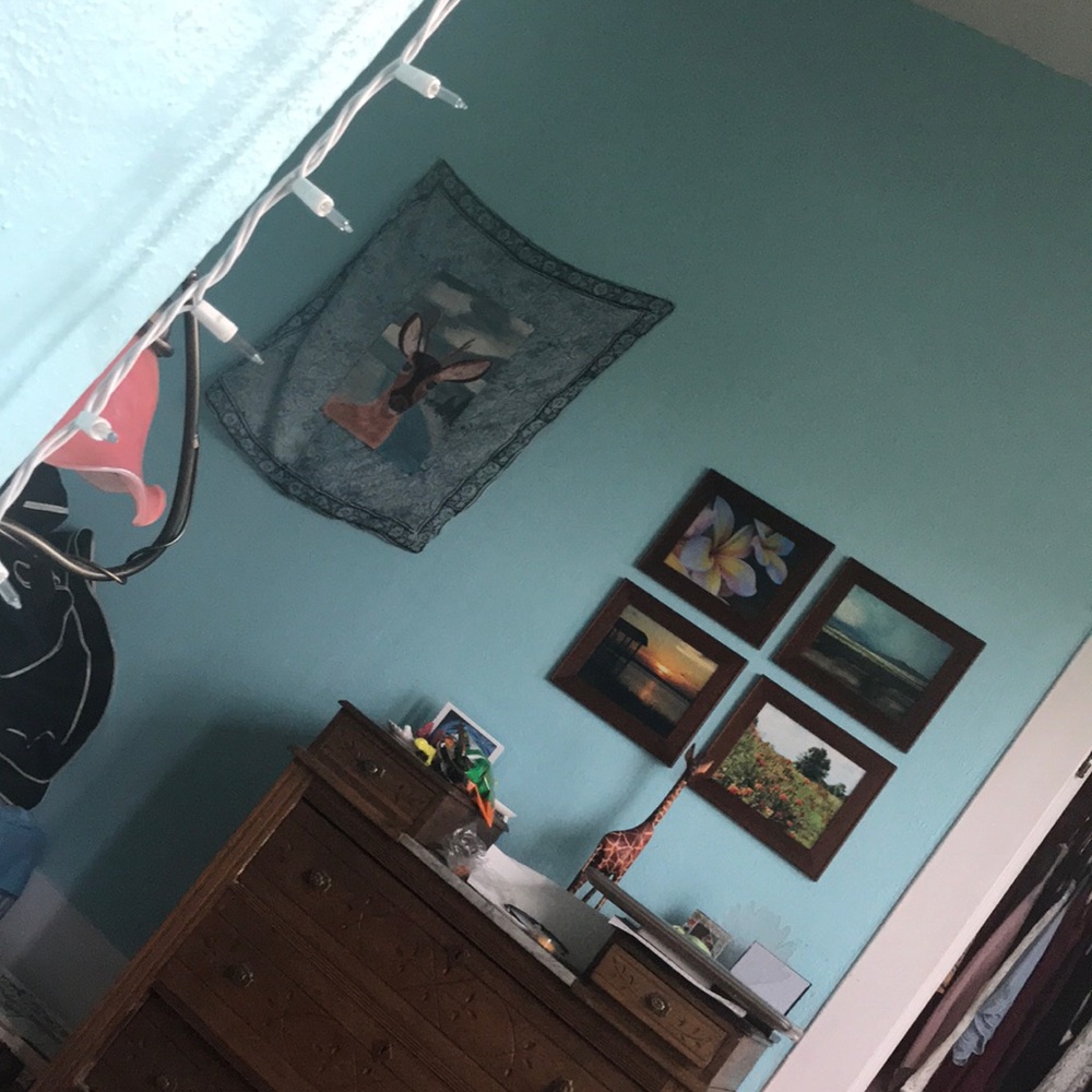 Meet your Posher, Joyce